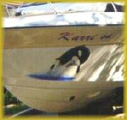 boat1.jpg (6467 bytes)